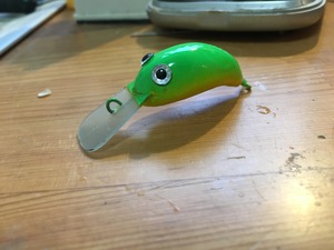 IMG_2267