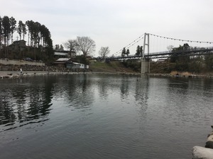 IMG_1729
