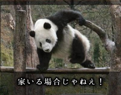 4652b0eb60be2e3b26bda7e9c5533e6c_400