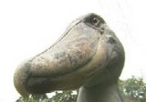 hasibirokou
