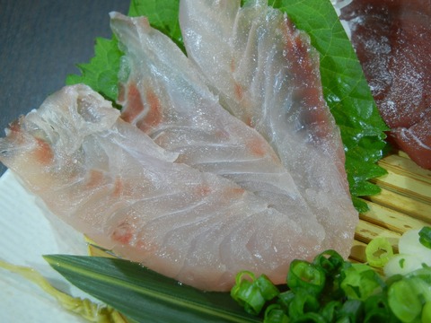 DSCN9087_いさき_1