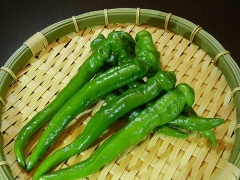 DSCN9213_1