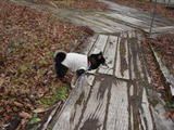 2009_12060022 (2)