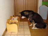 2009_11200083 (2)