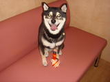 2009_12060027 (2)