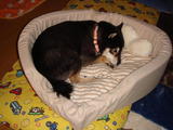 2009_12060007 (2)
