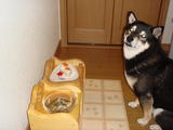 2009_11200082 (2)