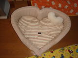 2009_12060016 (2)