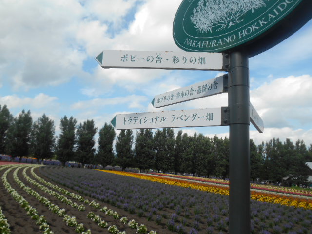 DSCN1552