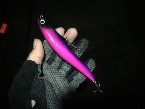 たまには釣れてる場所へ