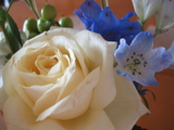2008_05260002