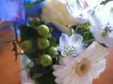 2008_05260001