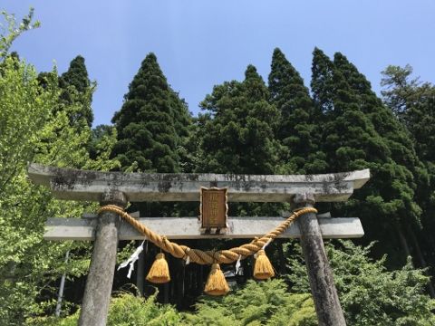 IMG_7786 (480x360)