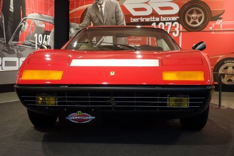 DSC00567 (480x320)