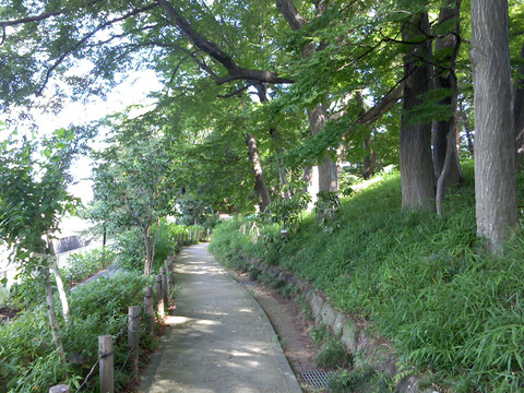 120805237・公園下