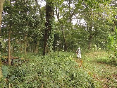 18.9-刈り払いs-