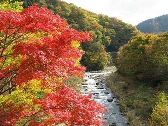 koyo3-560