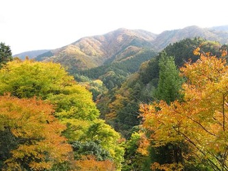 koyo2-560