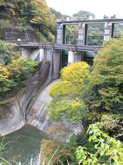 koyo4-6-101111_133304