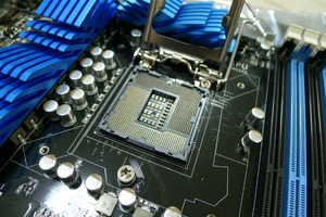 P1000515