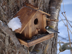 image0043