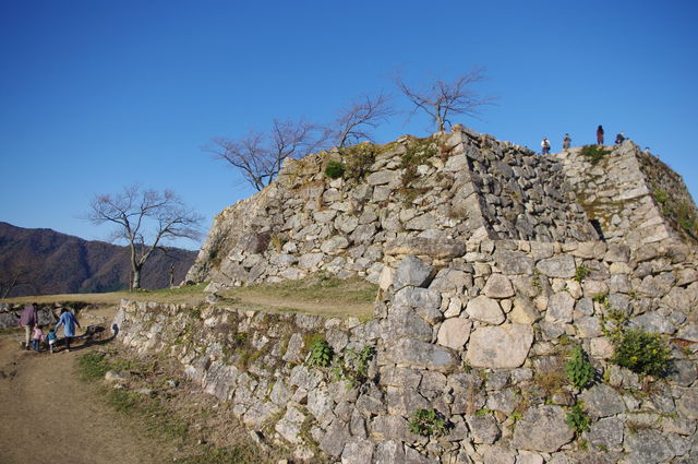 IMGP2574