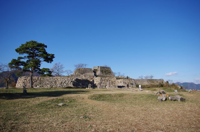 IMGP2510