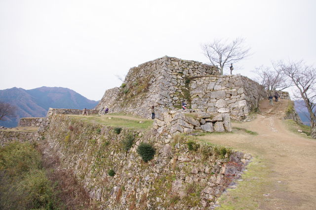 IMGP2764