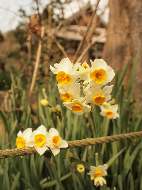 P2051296