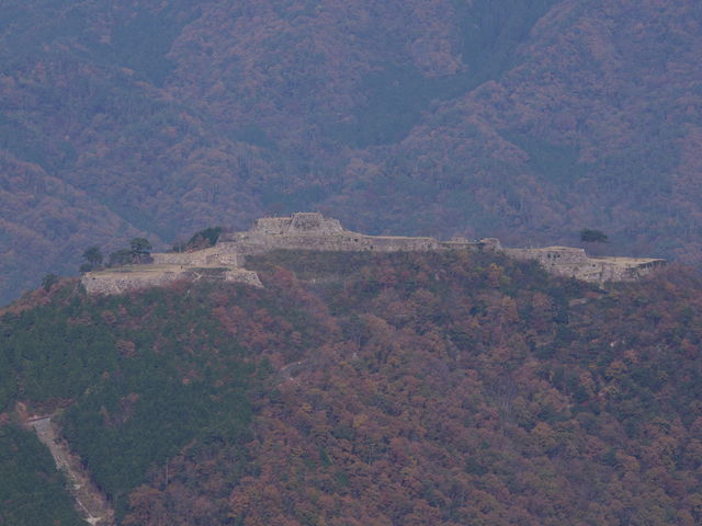 IMGP27921