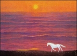 813f66c4.jpg