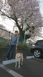 20180329