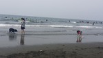 20160503_103105