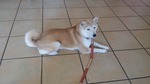 20160514_114238