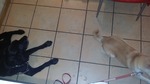 20160525_120341