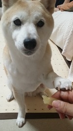 20160716_193007
