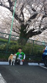 20150401_163923