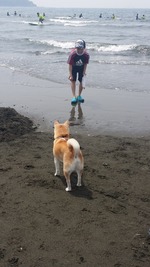 20160503_103207