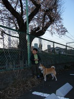 2011040601