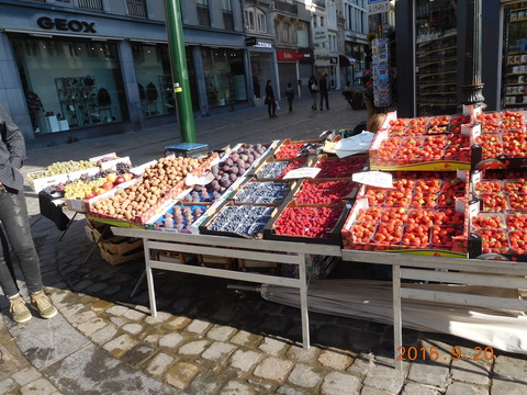 DSCN5556