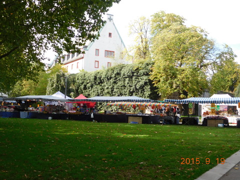 DSCN5259
