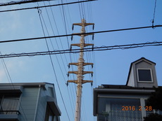 DSCN8671