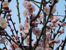 DSCN8643