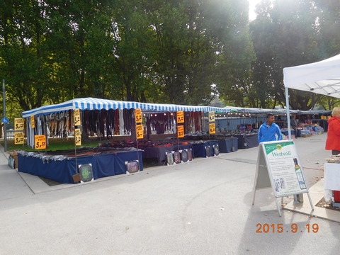 DSCN5262