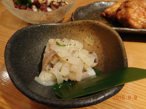 DSCN4500