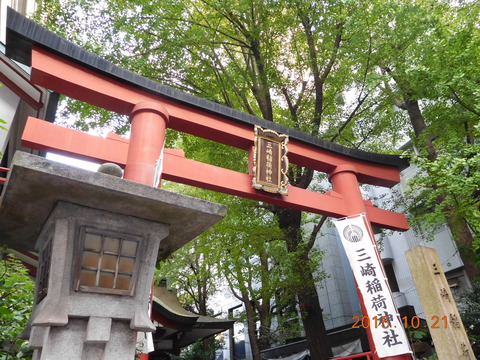 DSCN7732