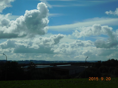 DSCN5667