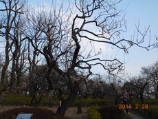 DSCN8662