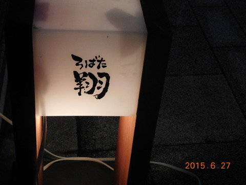 DSCN1963