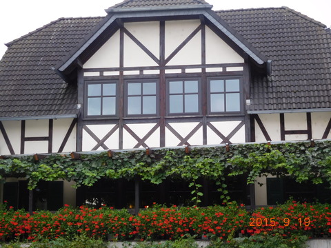 DSCN5117